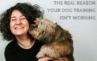 The real reason your dog training isn’t working — and what to do about it.