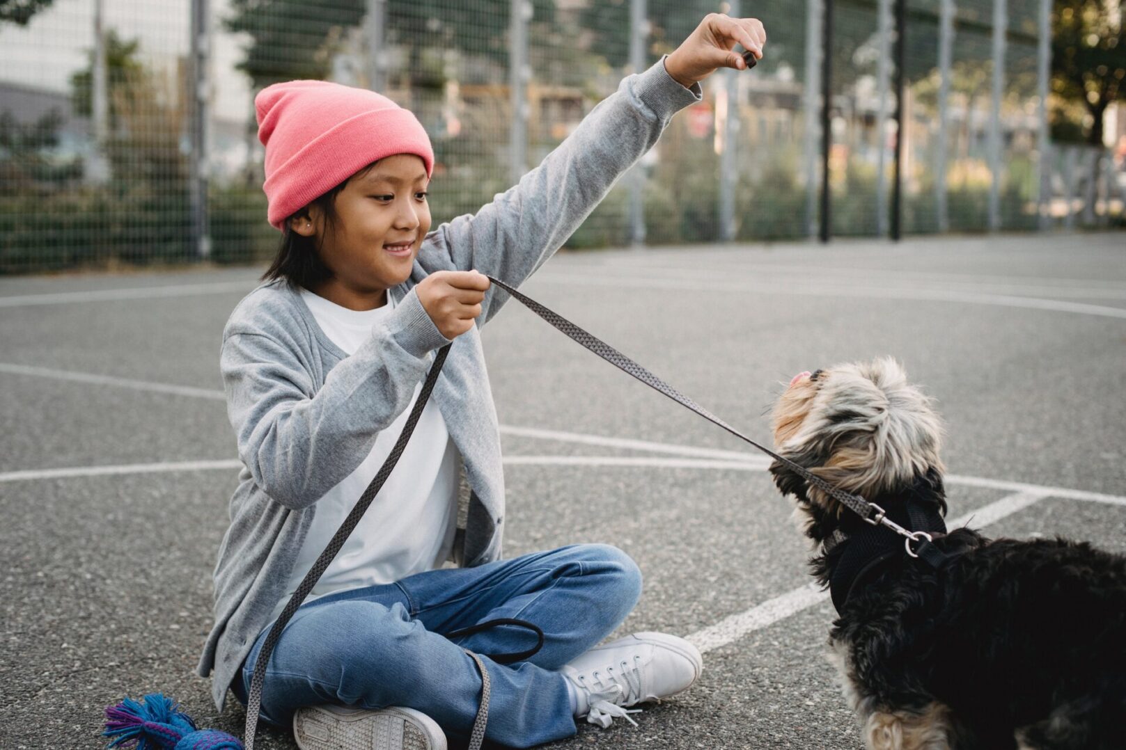 a child in a pink hat sits on pavement with a leash in one hand and a treat in the other. A small black and white dog viewed from the side looks up at the hand with a treat in it. 